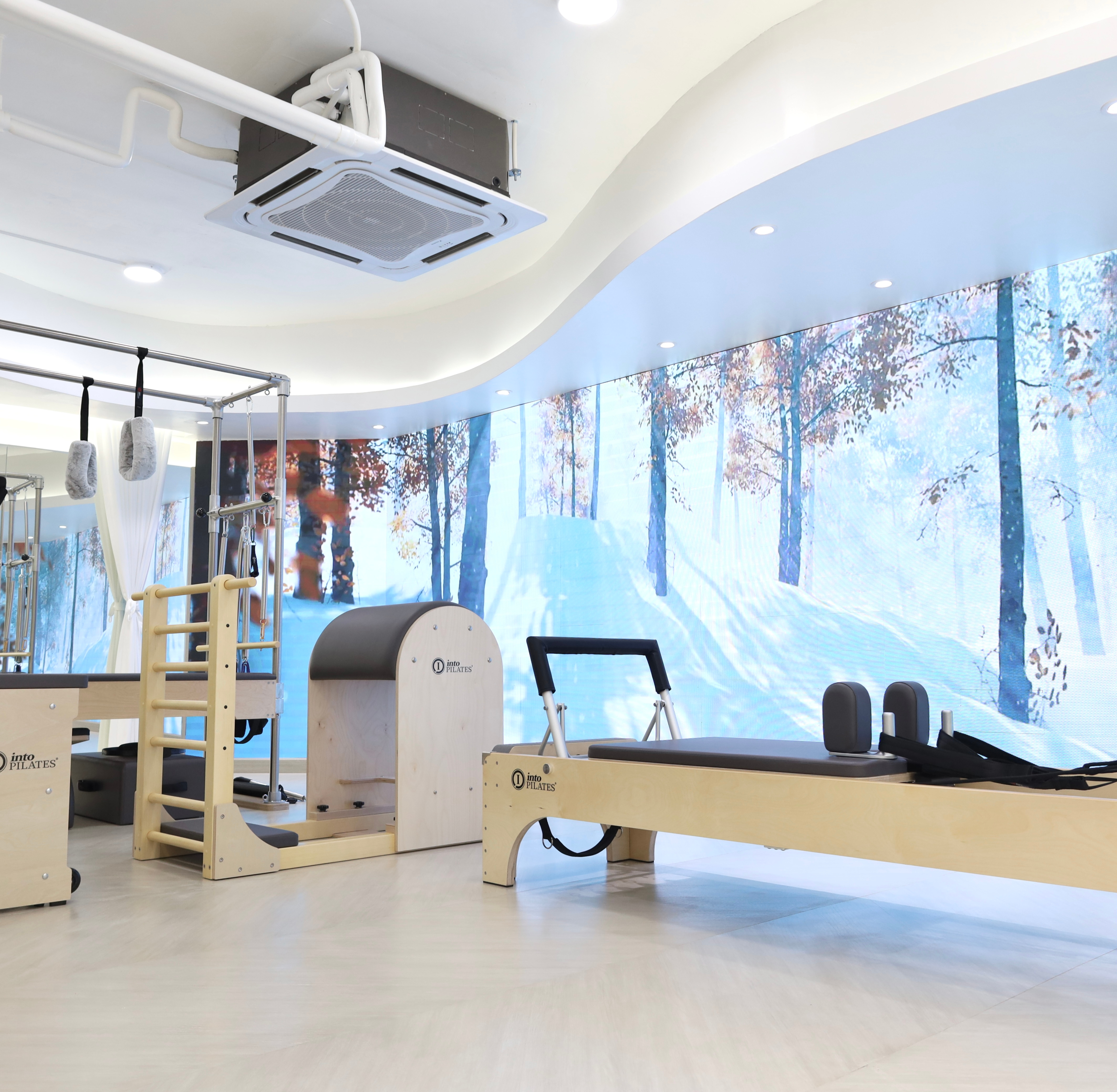 Reformer, ladder barrel and tower equipment in the immersive studio room